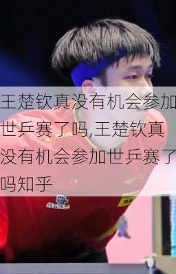 王楚钦真没有机会参加世乒赛了吗,王楚钦真没有机会参加世乒赛了吗知乎