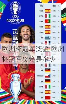 欧洲杯冠军奖金,欧洲杯冠军奖金是多少