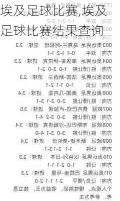 埃及足球比赛,埃及足球比赛结果查询