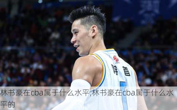 林书豪在cba属于什么水平,林书豪在cba属于什么水平的