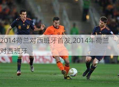 2014荷兰对西班牙首发,2014年荷兰对西班牙