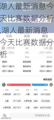 湖人最新消息今天比赛数据分析,湖人最新消息今天比赛数据分析