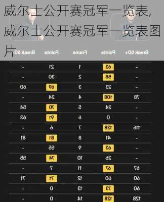 威尔士公开赛冠军一览表,威尔士公开赛冠军一览表图片