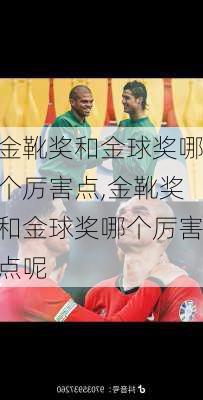 金靴奖和金球奖哪个厉害点,金靴奖和金球奖哪个厉害点呢