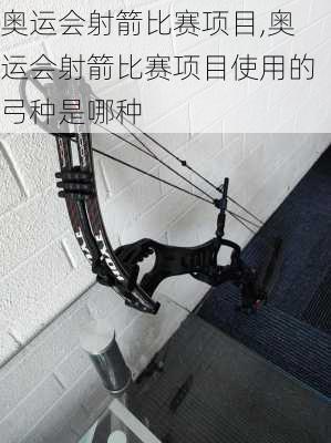 奥运会射箭比赛项目,奥运会射箭比赛项目使用的弓种是哪种