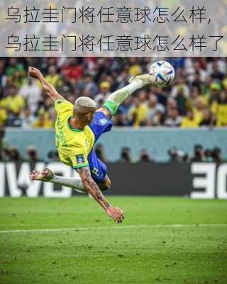 乌拉圭门将任意球怎么样,乌拉圭门将任意球怎么样了