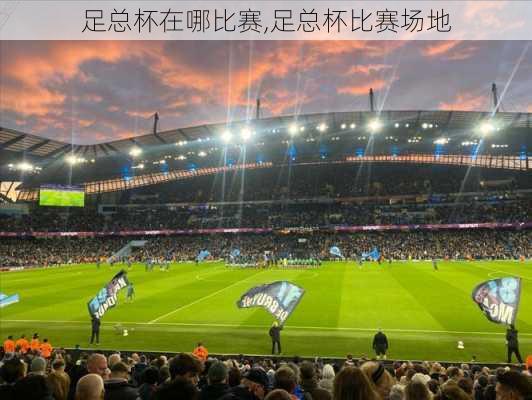 足总杯在哪比赛,足总杯比赛场地