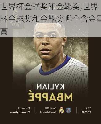 世界杯金球奖和金靴奖,世界杯金球奖和金靴奖哪个含金量高
