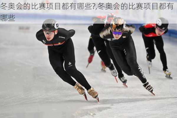 冬奥会的比赛项目都有哪些?,冬奥会的比赛项目都有哪些