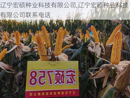 辽宁宏硕种业科技有限公司,辽宁宏硕种业科技有限公司联系电话