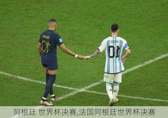 阿根廷 世界杯决赛,法国阿根廷世界杯决赛