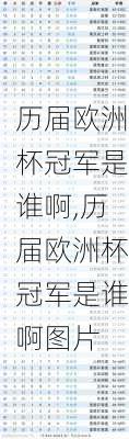 历届欧洲杯冠军是谁啊,历届欧洲杯冠军是谁啊图片