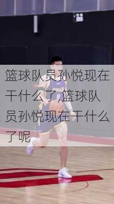 篮球队员孙悦现在干什么了,篮球队员孙悦现在干什么了呢