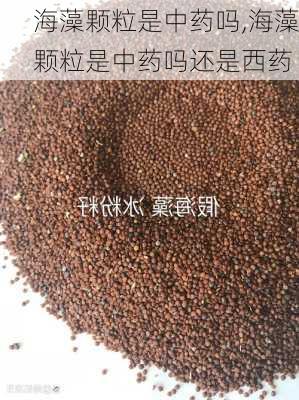 海藻颗粒是中药吗,海藻颗粒是中药吗还是西药