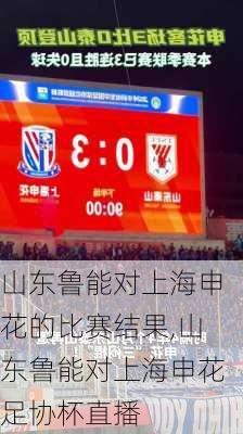 山东鲁能对上海申花的比赛结果,山东鲁能对上海申花足协杯直播