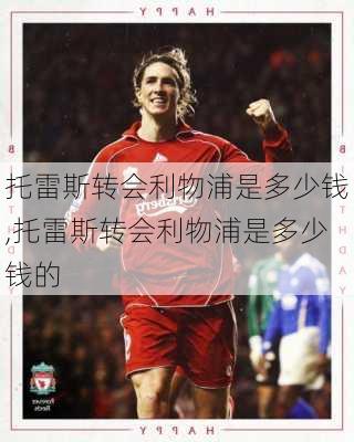 托雷斯转会利物浦是多少钱,托雷斯转会利物浦是多少钱的