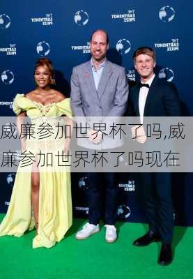 威廉参加世界杯了吗,威廉参加世界杯了吗现在