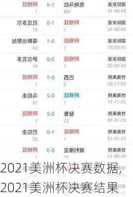 2021美洲杯决赛数据,2021美洲杯决赛结果