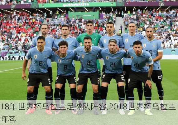 18年世界杯乌拉圭足球队阵容,2018世界杯乌拉圭阵容