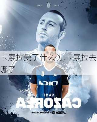 卡索拉受了什么伤,卡索拉去哪了
