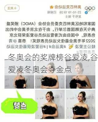 冬奥会的奖牌榜谷爱凌,谷爱凌冬奥会夺金点