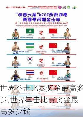 世界拳击比赛奖金最高多少,世界拳击比赛奖金最高多少钱