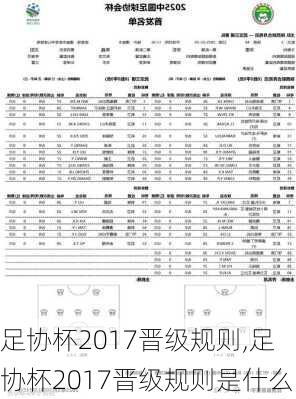 足协杯2017晋级规则,足协杯2017晋级规则是什么
