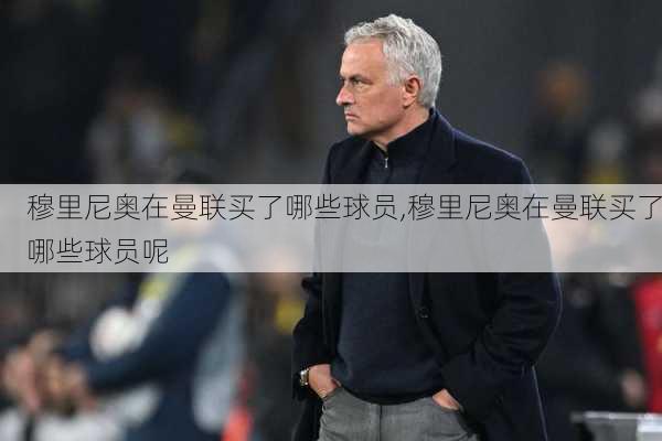 穆里尼奥在曼联买了哪些球员,穆里尼奥在曼联买了哪些球员呢
