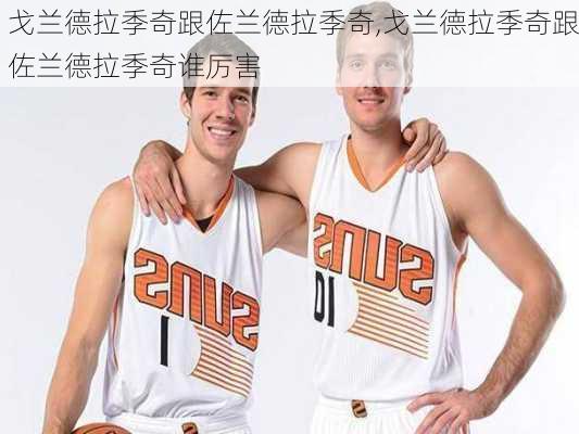戈兰德拉季奇跟佐兰德拉季奇,戈兰德拉季奇跟佐兰德拉季奇谁厉害