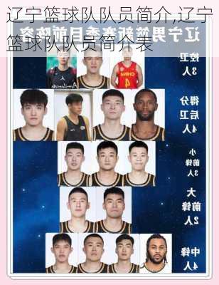 辽宁篮球队队员简介,辽宁篮球队队员简介表