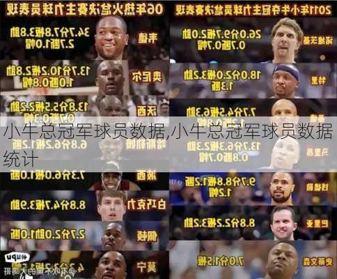 小牛总冠军球员数据,小牛总冠军球员数据统计