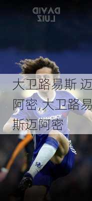 大卫路易斯 迈阿密,大卫路易斯迈阿密