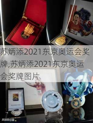 苏炳添2021东京奥运会奖牌,苏炳添2021东京奥运会奖牌图片