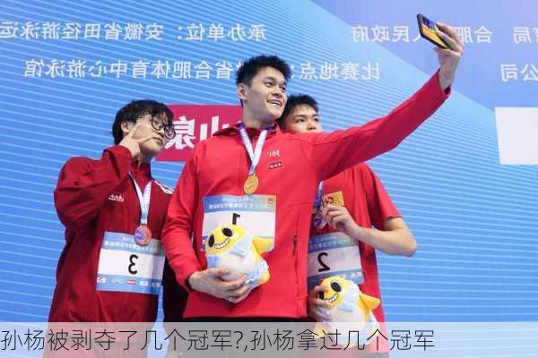 孙杨被剥夺了几个冠军?,孙杨拿过几个冠军