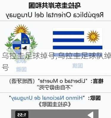乌拉圭足球绰号,乌拉圭足球队绰号
