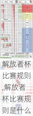 解放者杯比赛规则,解放者杯比赛规则是什么