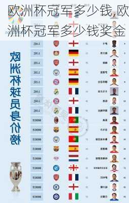 欧洲杯冠军多少钱,欧洲杯冠军多少钱奖金