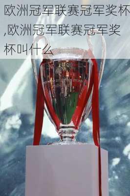 欧洲冠军联赛冠军奖杯,欧洲冠军联赛冠军奖杯叫什么