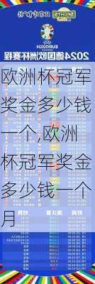 欧洲杯冠军奖金多少钱一个,欧洲杯冠军奖金多少钱一个月