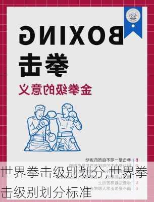 世界拳击级别划分,世界拳击级别划分标准