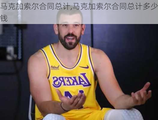 马克加索尔合同总计,马克加索尔合同总计多少钱
