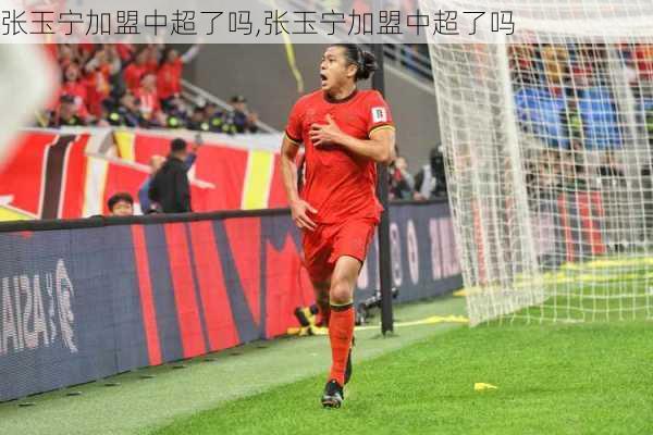 张玉宁加盟中超了吗,张玉宁加盟中超了吗