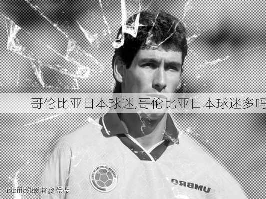 哥伦比亚日本球迷,哥伦比亚日本球迷多吗