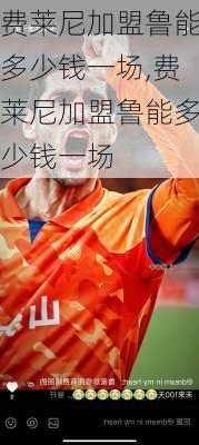 费莱尼加盟鲁能多少钱一场,费莱尼加盟鲁能多少钱一场