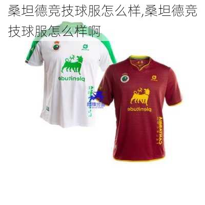 桑坦德竞技球服怎么样,桑坦德竞技球服怎么样啊