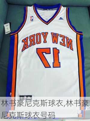 林书豪尼克斯球衣,林书豪尼克斯球衣号码