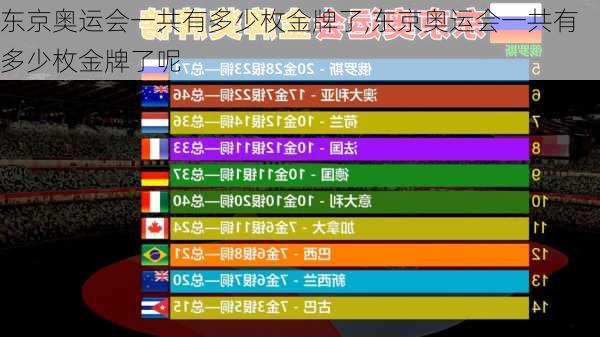 东京奥运会一共有多少枚金牌了,东京奥运会一共有多少枚金牌了呢