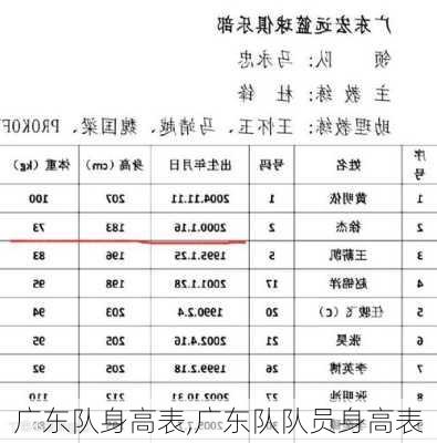 广东队身高表,广东队队员身高表