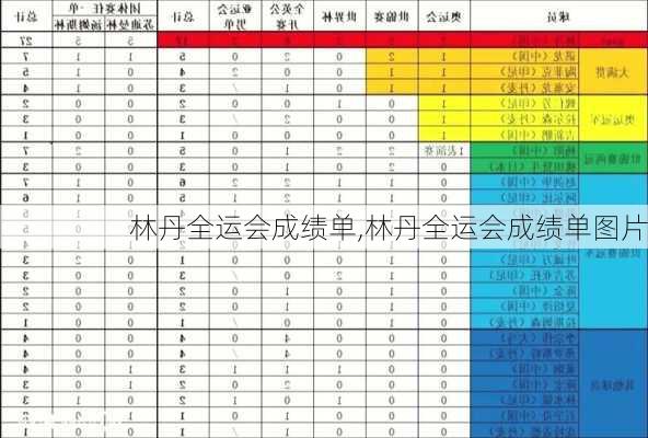 林丹全运会成绩单,林丹全运会成绩单图片