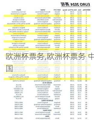 欧洲杯票务,欧洲杯票务 中国